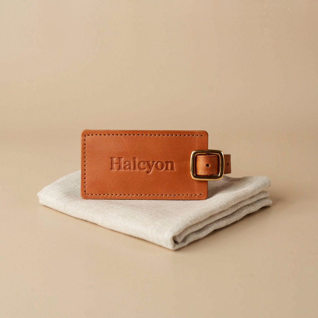 A display ad AdFrame designed for Halcyon